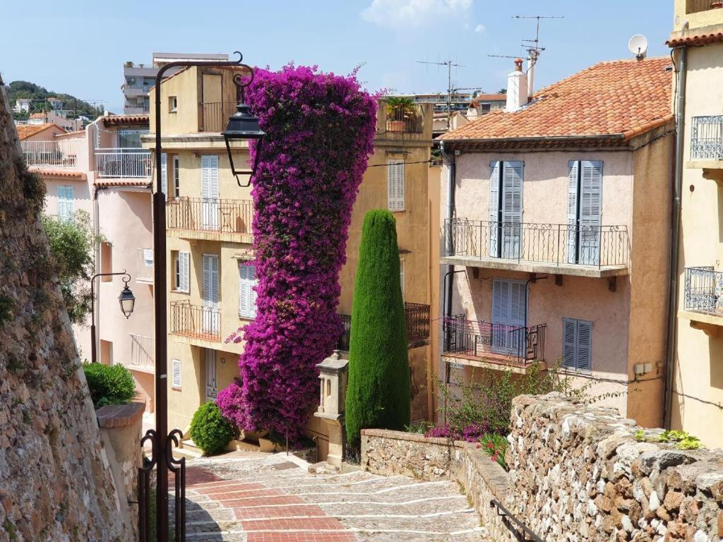 Hyper Centre Cannes - Plages Et Palais 5Min A Pied Экстерьер фото